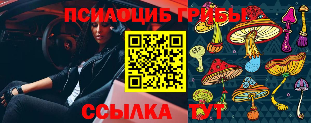 Псилоцибиновые грибы GOLDEN TEACHER Артёмовский
