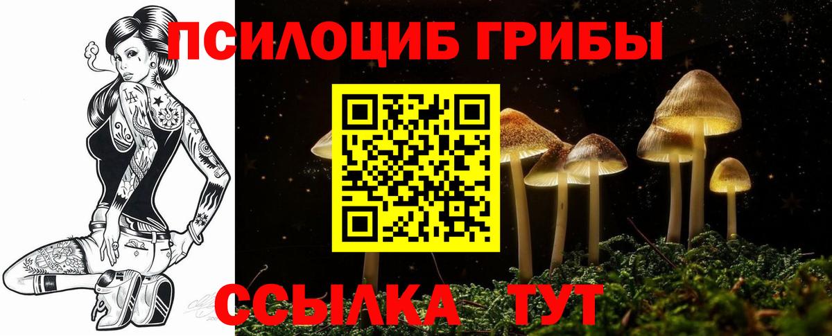 наркота  Вход с VPN  Артёмовский  Псилоцибиновые грибы Psilocybe 